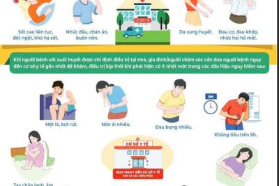 Phòng chống bệnh Sốt xuất huyết là bảo vệ chính mình và xã hội